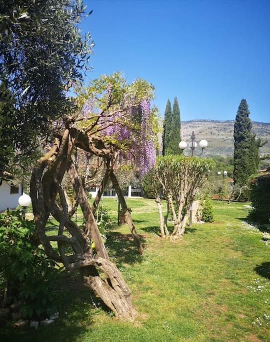 Villetta Blue Garden Sonnino Buitenkant foto