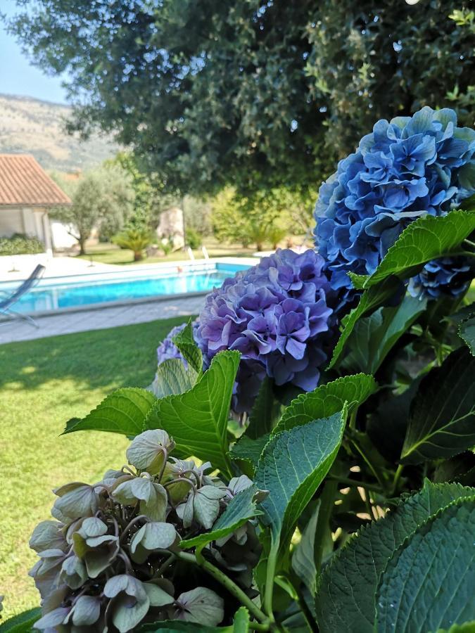 Villetta Blue Garden Sonnino Buitenkant foto