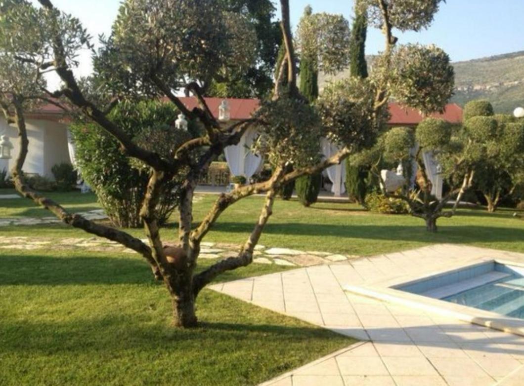 Villetta Blue Garden Sonnino Buitenkant foto
